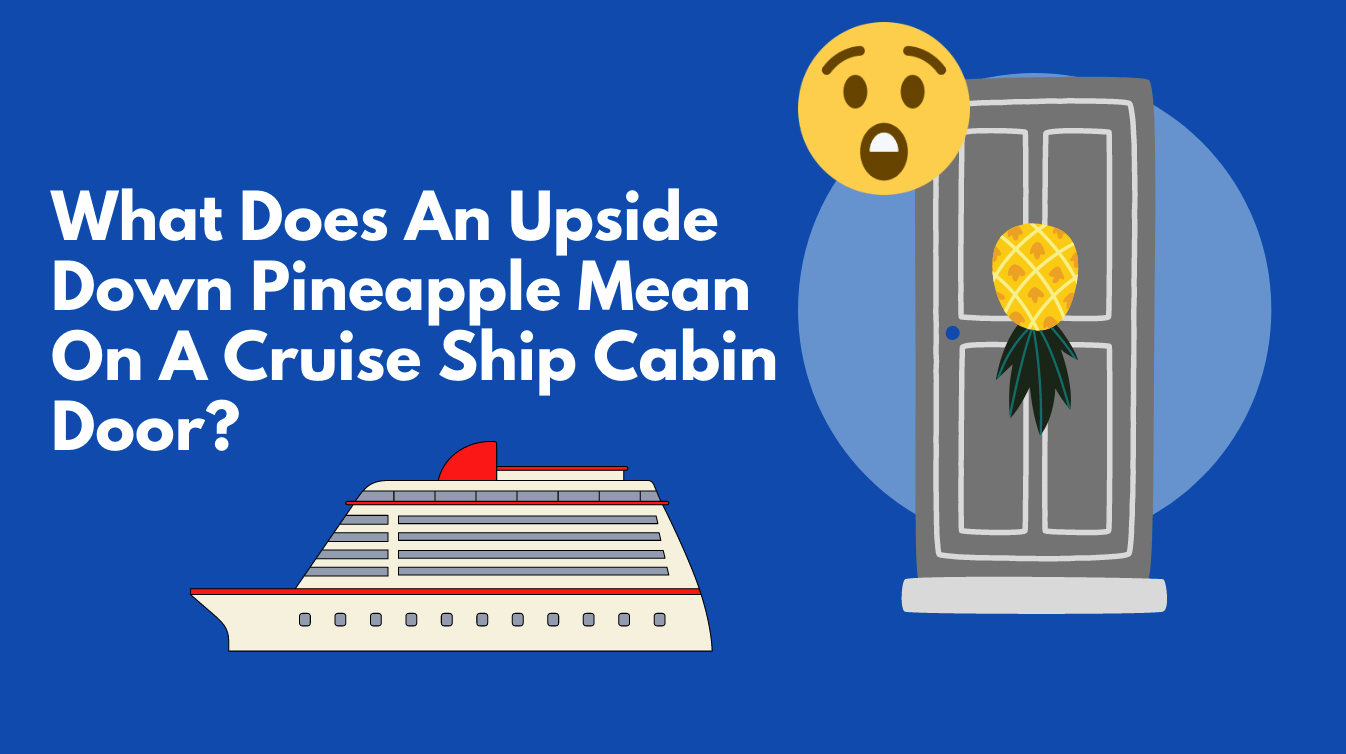 Upside down pineapple on a Bliss cruise meme
