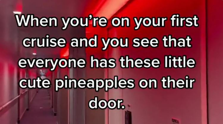 Pineapples on a Bliss cruise meme