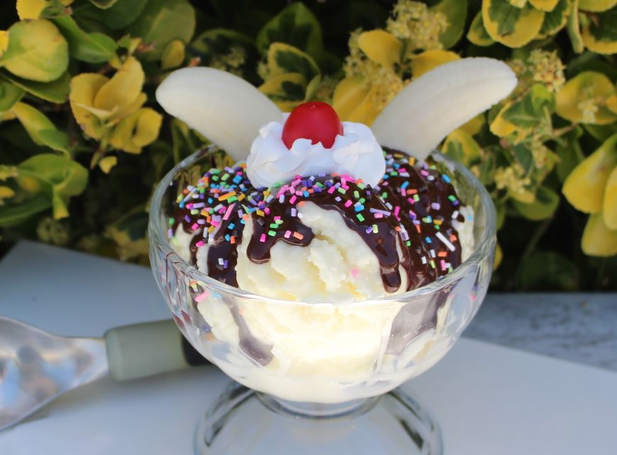 Dirty vanilla ice cream with 2 bananas, chocolate, and sprinkles