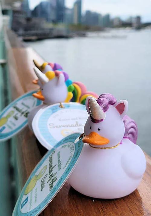 Bliss cruise review hiding ducks onboard tradition
