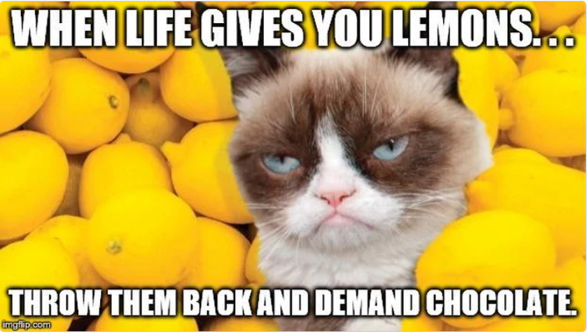 funny lemons to lemonade meme