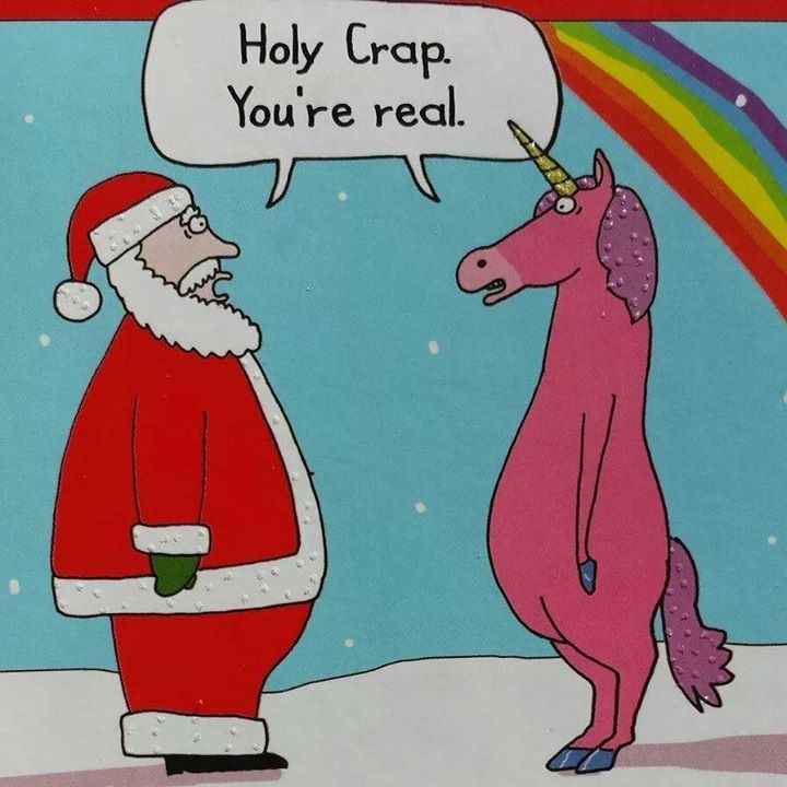 unicorn Santa funny meme