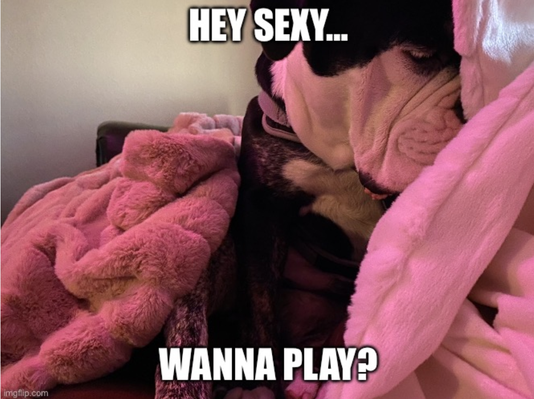 wanna play? funny meme